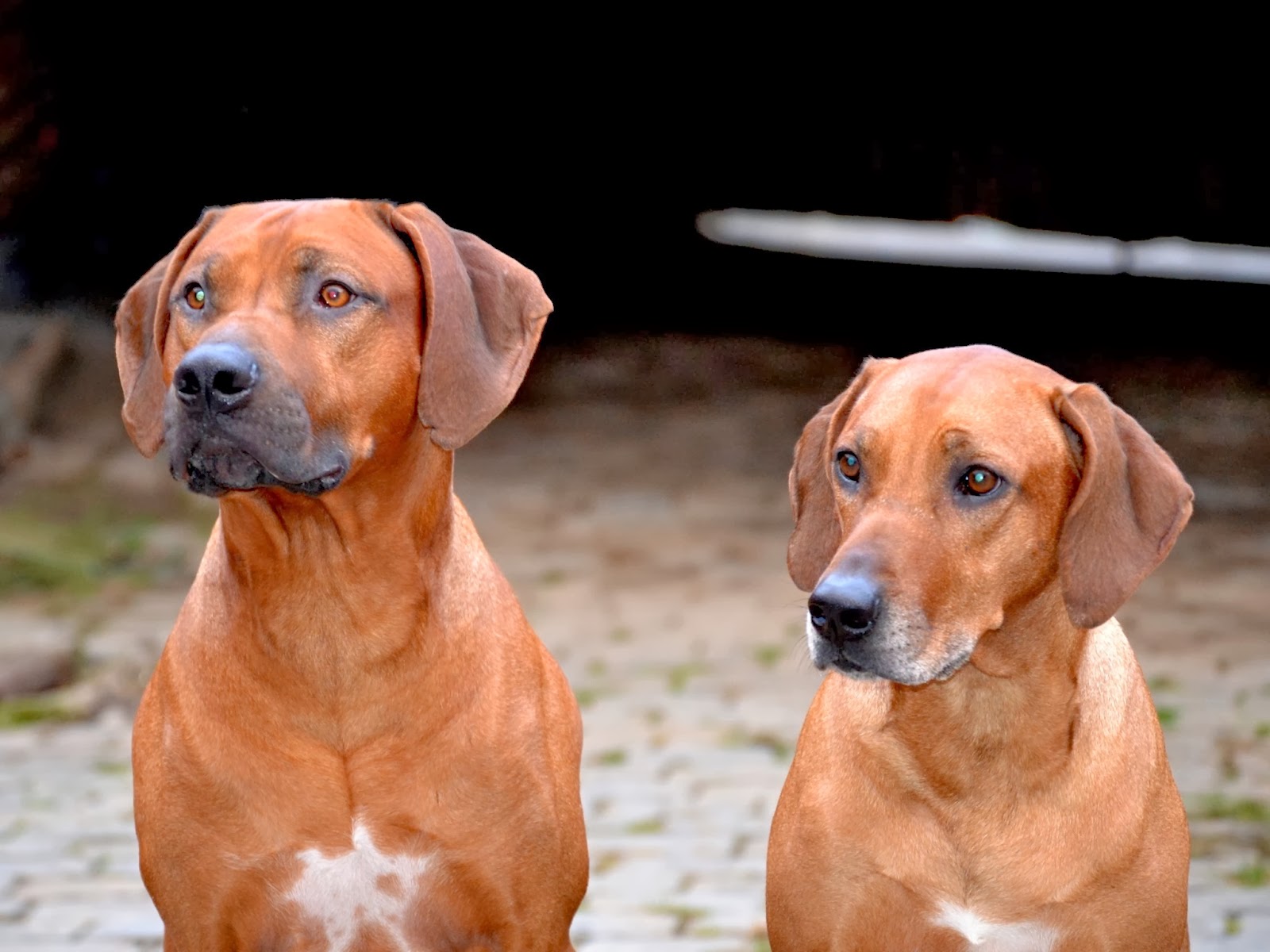 Doctoral dissertations music online Doctoral dissertations music online