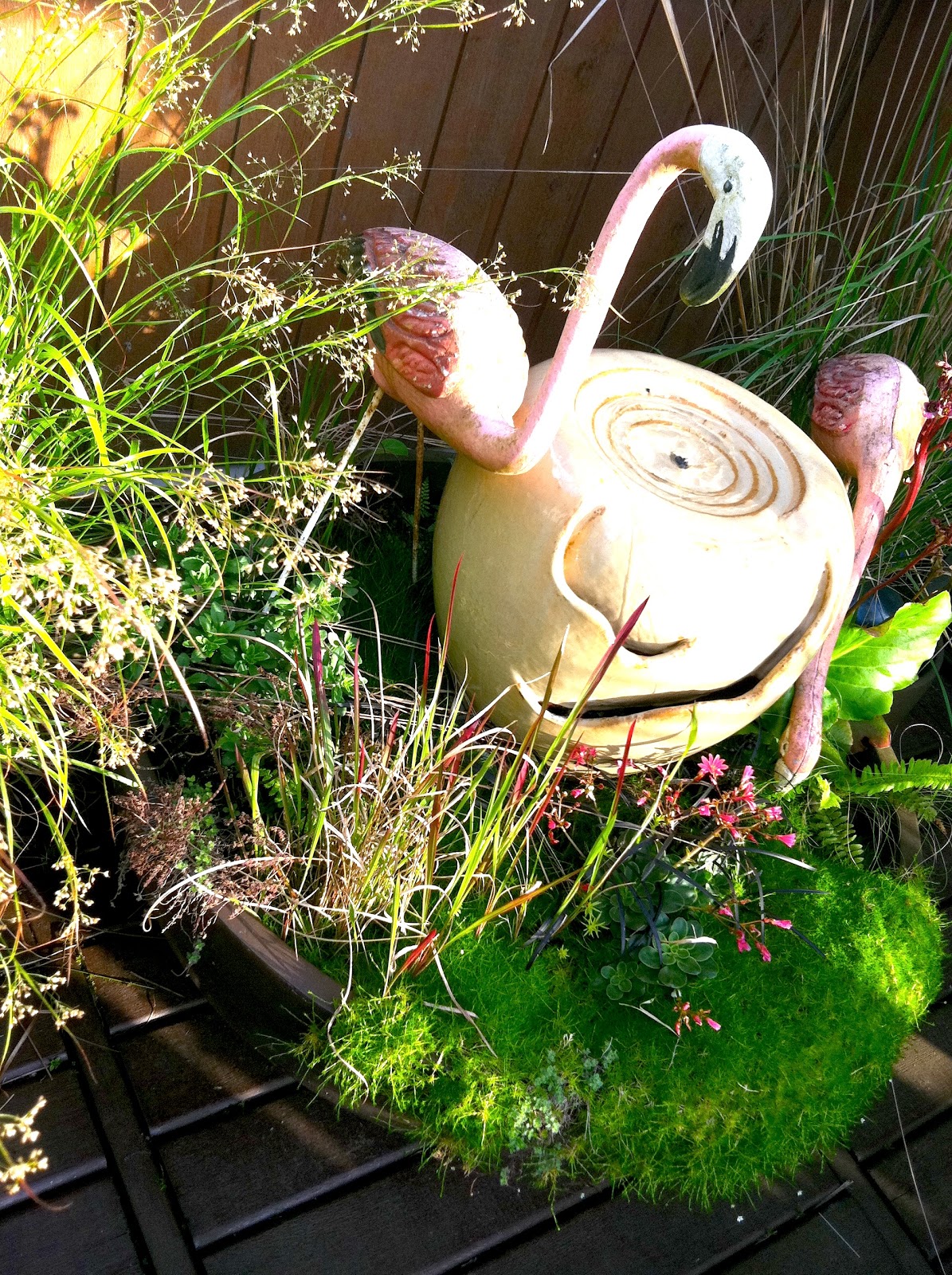 Portland Oregon Interior Design Blog: Time to get outside!