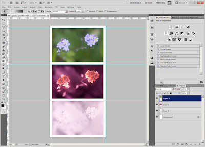 Vis-UV-IR flower photo template in photoshop