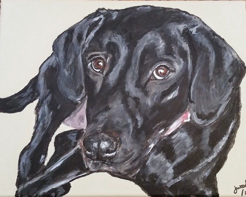 Paws in Paint Pet Portraits Gallery