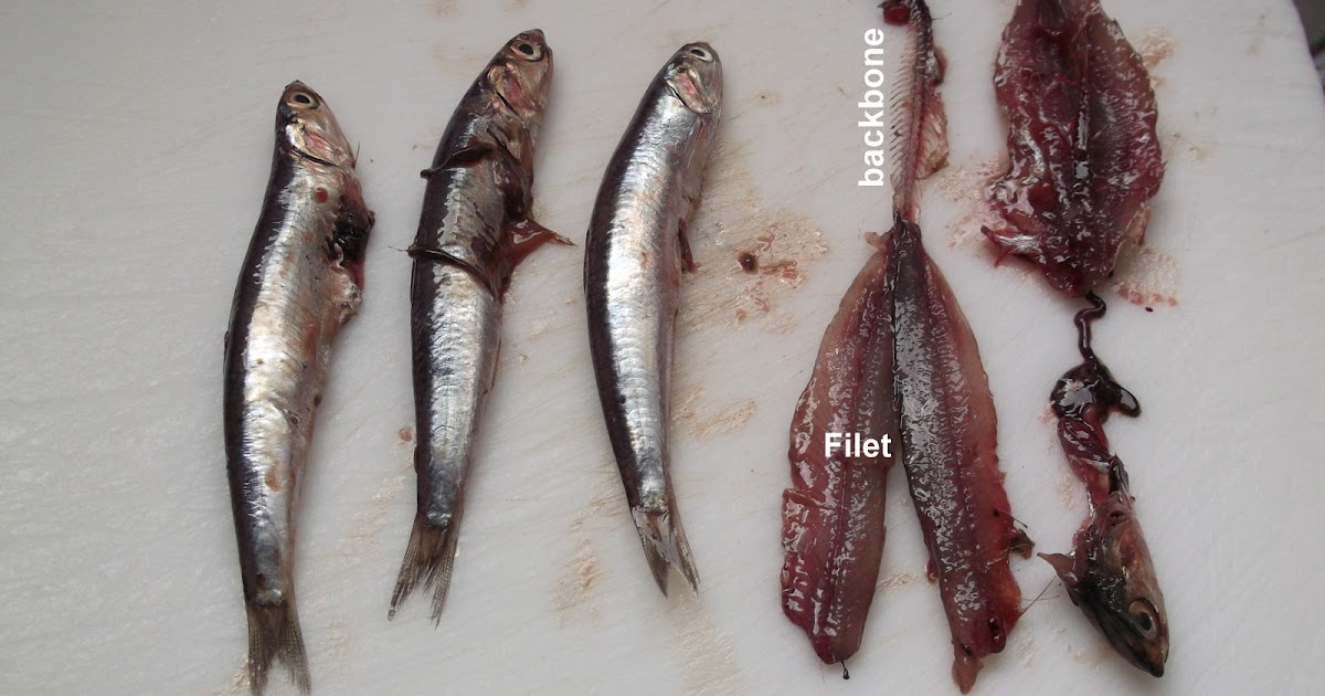 Pickled Anchovy (Gavros In Greek)