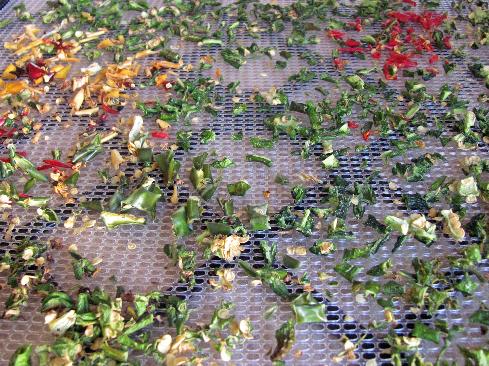 Dehydrating Hot Chili Peppers Nourishing Minimalism