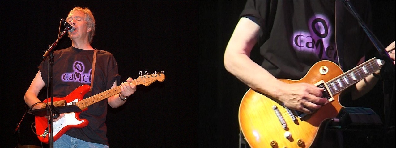 MASTIO - Campi Estivi per Ragazzi e Bambini e