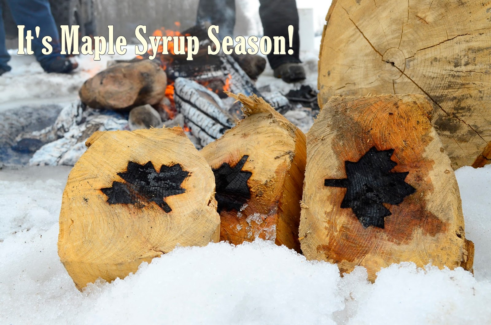 House of Frost Sunderland Maple Syrup Festival