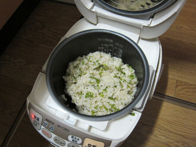 山とかスキーとか コシアブラご飯