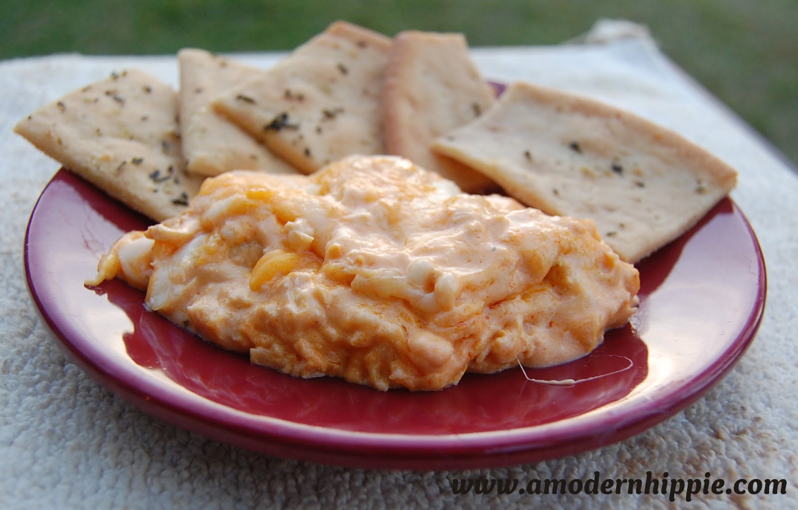 A Modern Hippie Buffalo Chicken Dip {Gluten Free}