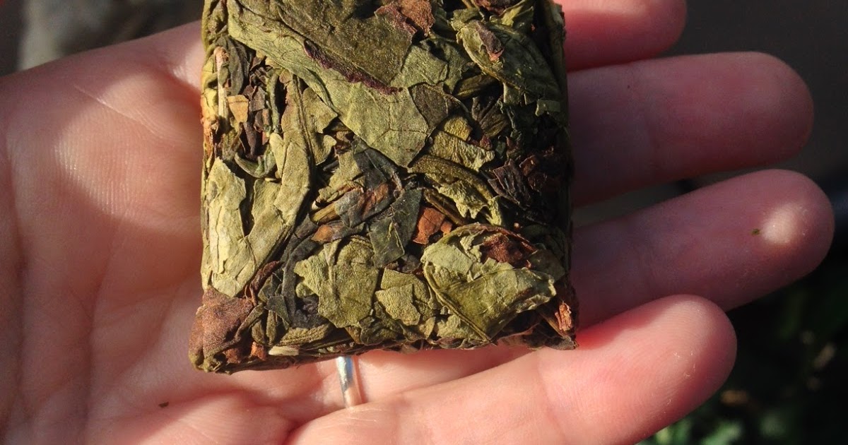 BuddhaMum Tea Zhang Ping Shui Xian. Water Lily! Also known as Sprite, or Narcissus! Call it