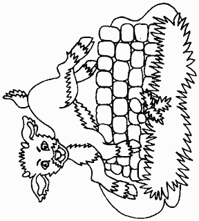 Desene Imagini De Colorat Plansa De Colorat Capra Ied