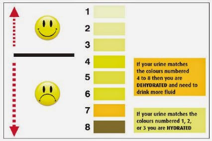 tara martine july 2014 urine color and odor chart