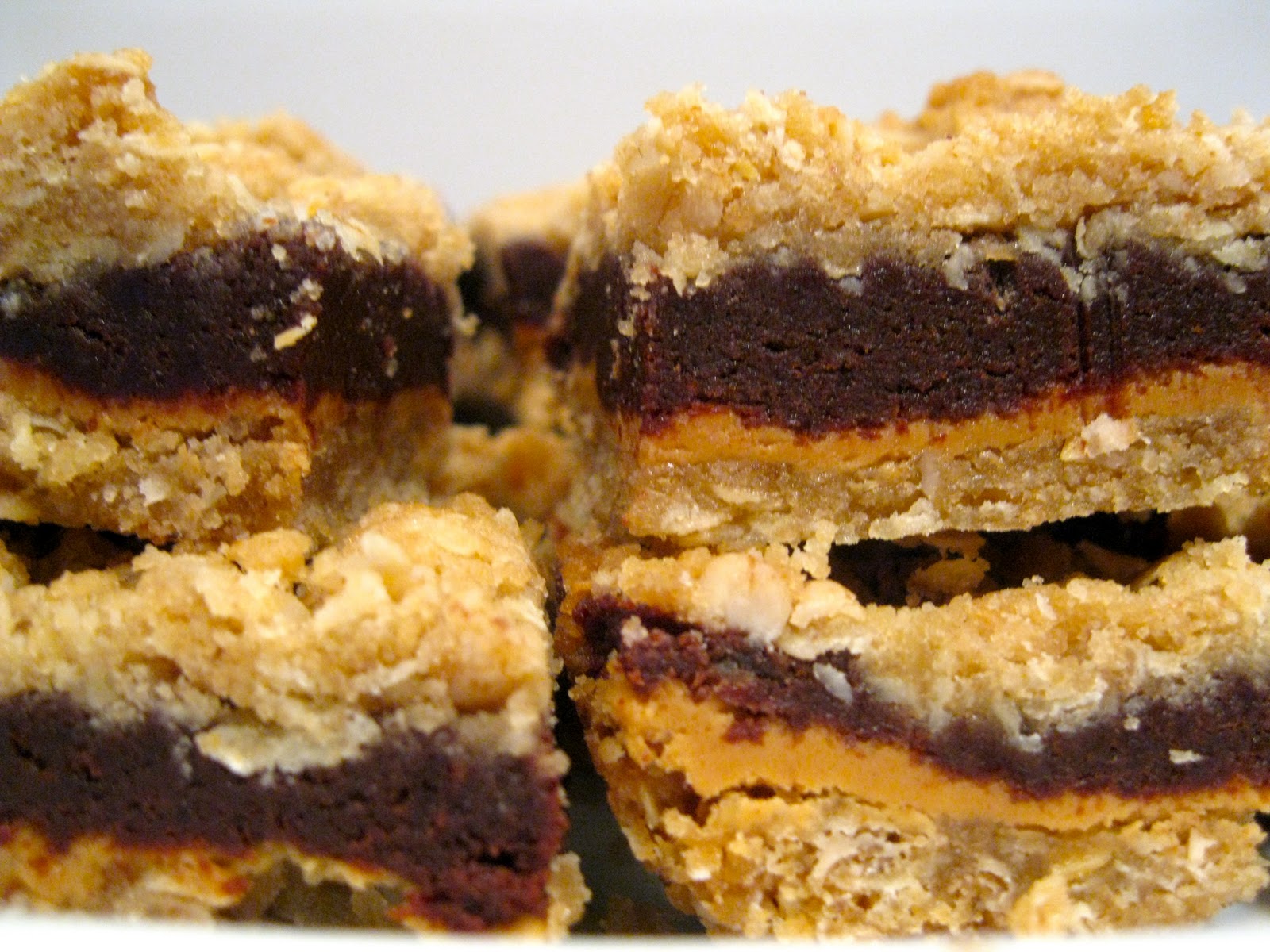 twin tastes Peanut Butter and Oatmeal Fudge Bars