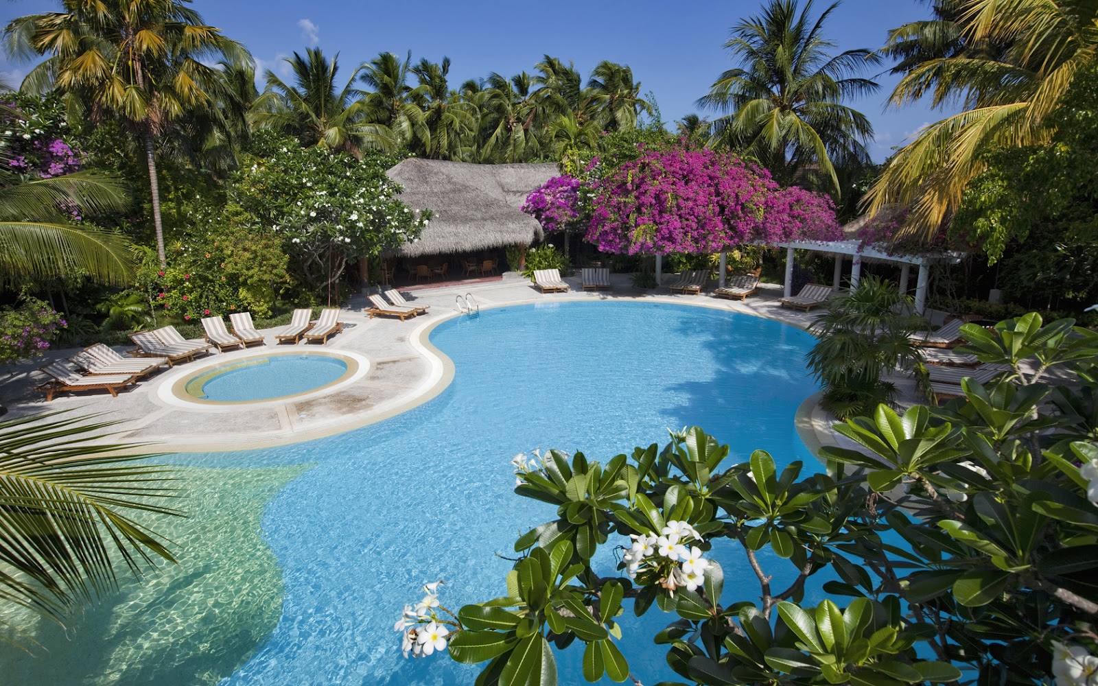 http://2.bp.blogspot.com/-7cv1MUDUP44/UFnJb9zUwWI/AAAAAAAAEmg/C0S1dxNoE2Q/s1600/Maldives-Beautiful-Hotel-Pool-Palms-and-Bungalows-HD-Landscape-Wallpaper--NatureWallBase.Blogspot.Com-.jpg