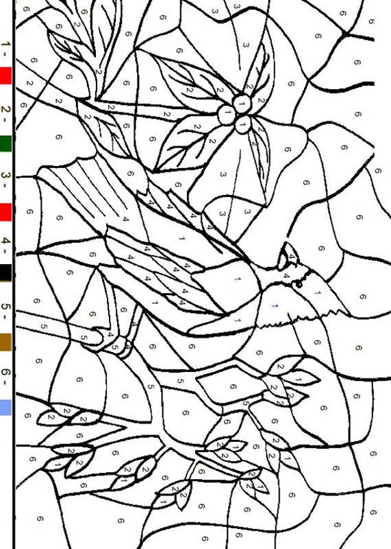 Coloring Page World: Bird, Color-by-Number