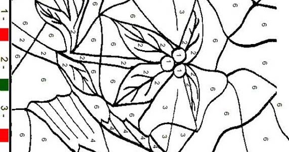 Coloring Page World: Bird, Color-by-Number