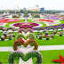 World's most beautiful floral garden? Dubai Miracle Garden