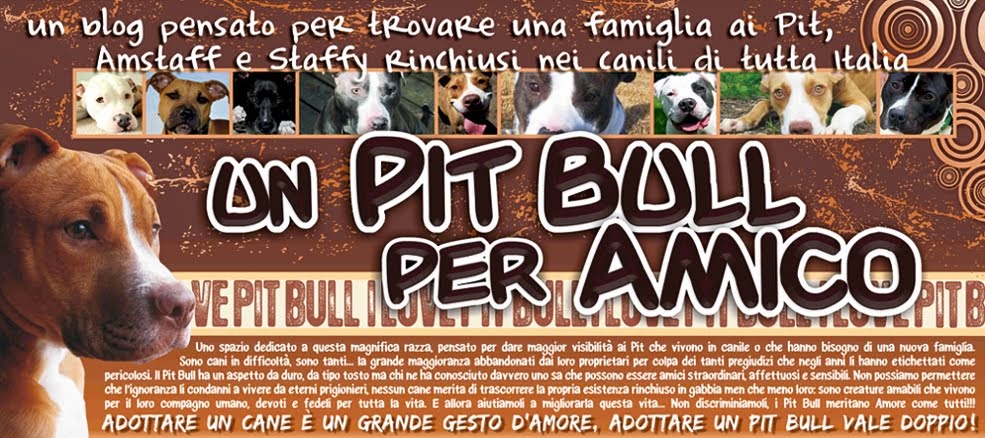 Un Pit Bull Per Amico