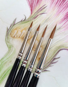 Natures Details Brush Set