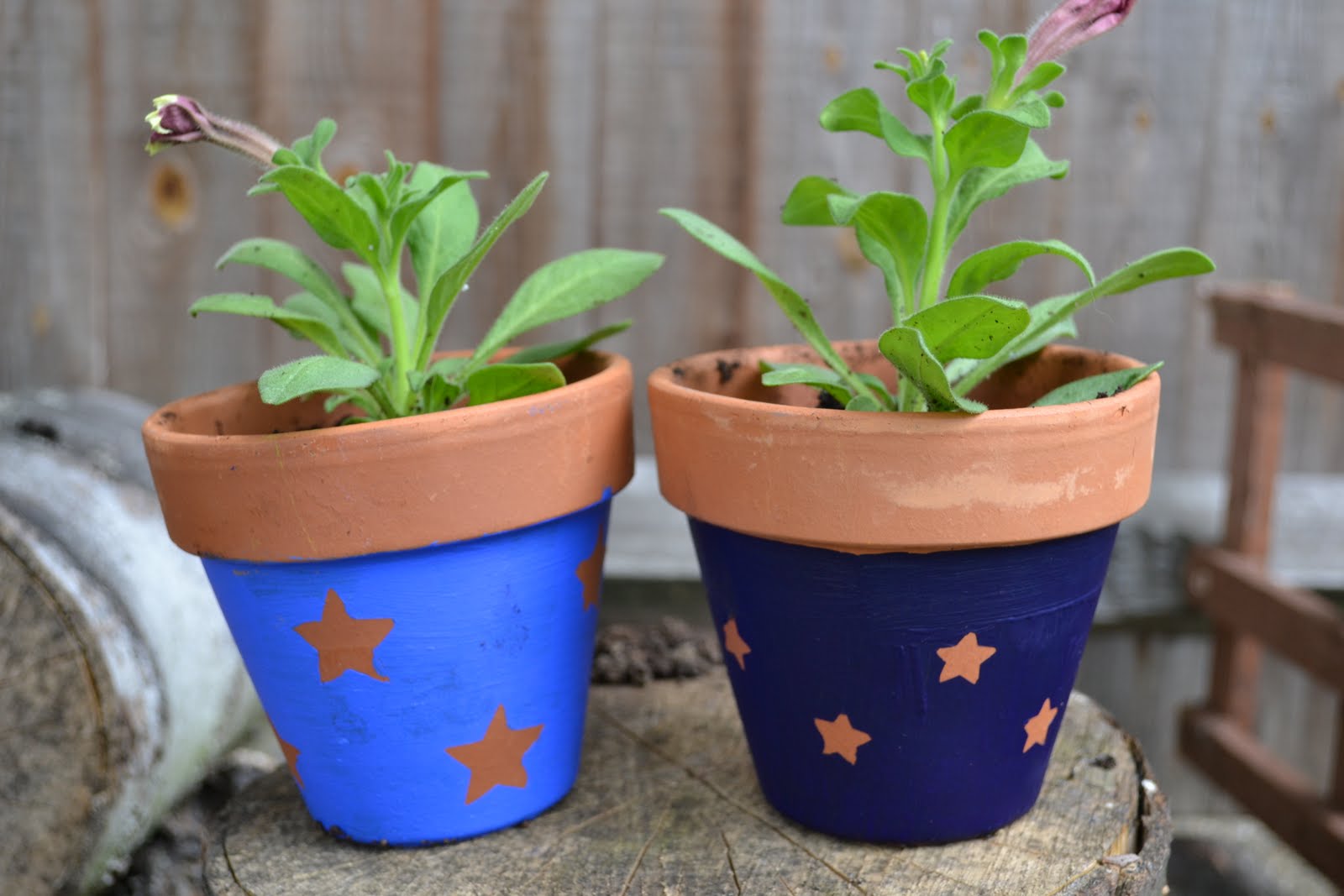 Kids Garden Activities Painting Pots, Bunches of Herbs and the Odd