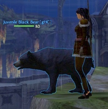 guild wars 1 sneaky ninja guild wars 1 sneaky ninja