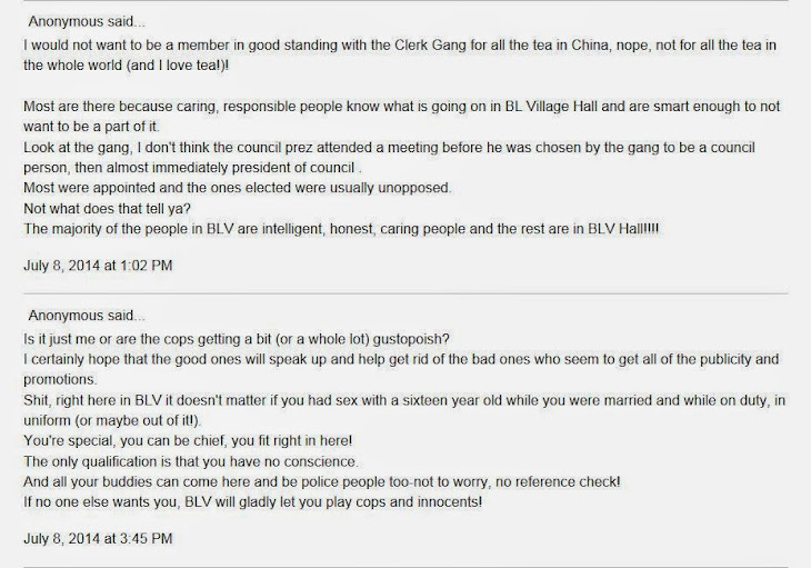 Here's what CAMP blog posters think about Brady Lake Village and BLV's reject cops.