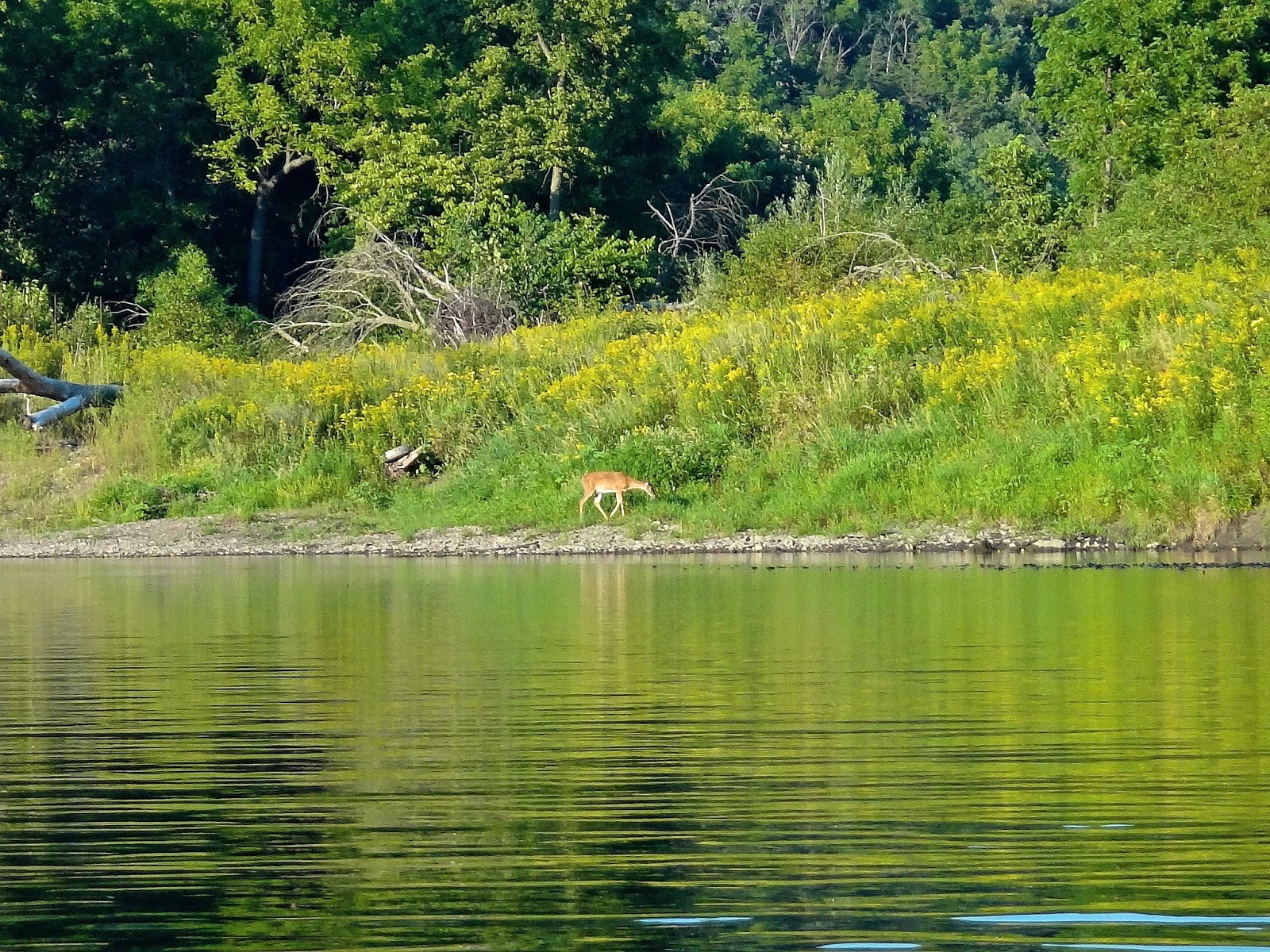 Russman's spot Tubing the Zumbro River
