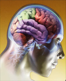 http://www.iqb.es/neurologia/a001.htm