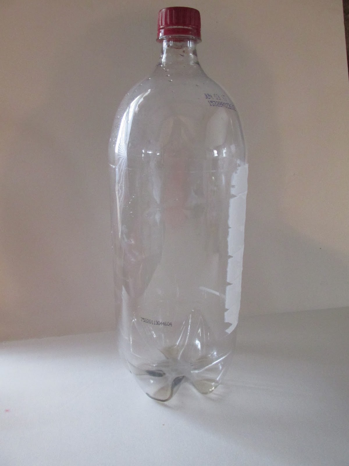 Pin on Summer Program 2016