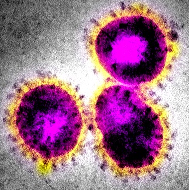 Synapse Science Magazine: The Return of SARS?