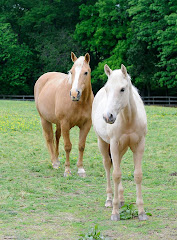 Bugsy and Hero