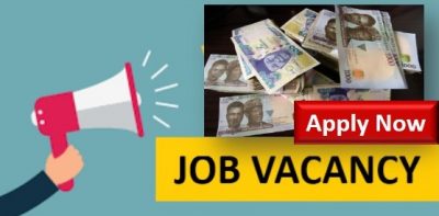 JOB: Earn Up To N50,000 Per Month