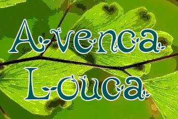 Avenca Louca