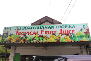 Penang Botanical Garden Tropical Mango Fruit Ice