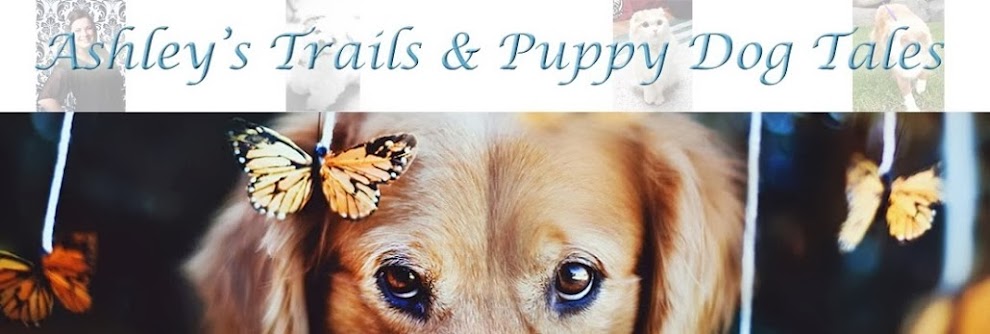 Ashley's Trails & Puppy Dog Tales. 