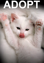 Contact us! info@fopcp.com