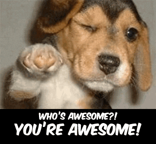 Are you awesome? I'm Awsome!