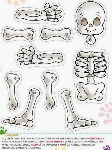 bakim guzellik iskelet sistemi