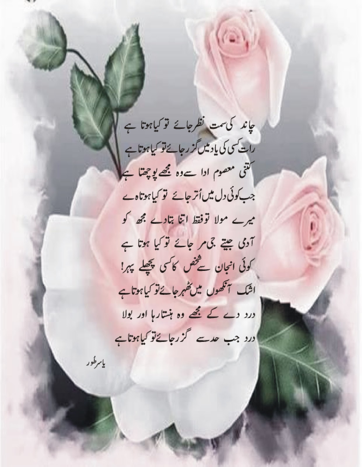 urdu poetry in my sight love with humanity