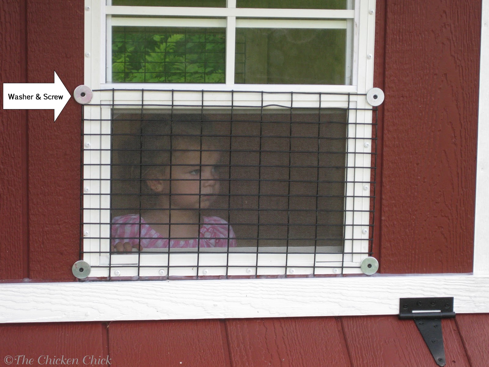 Coop Security Hardware Cloth vs Chicken Wire The Chicken Chick®