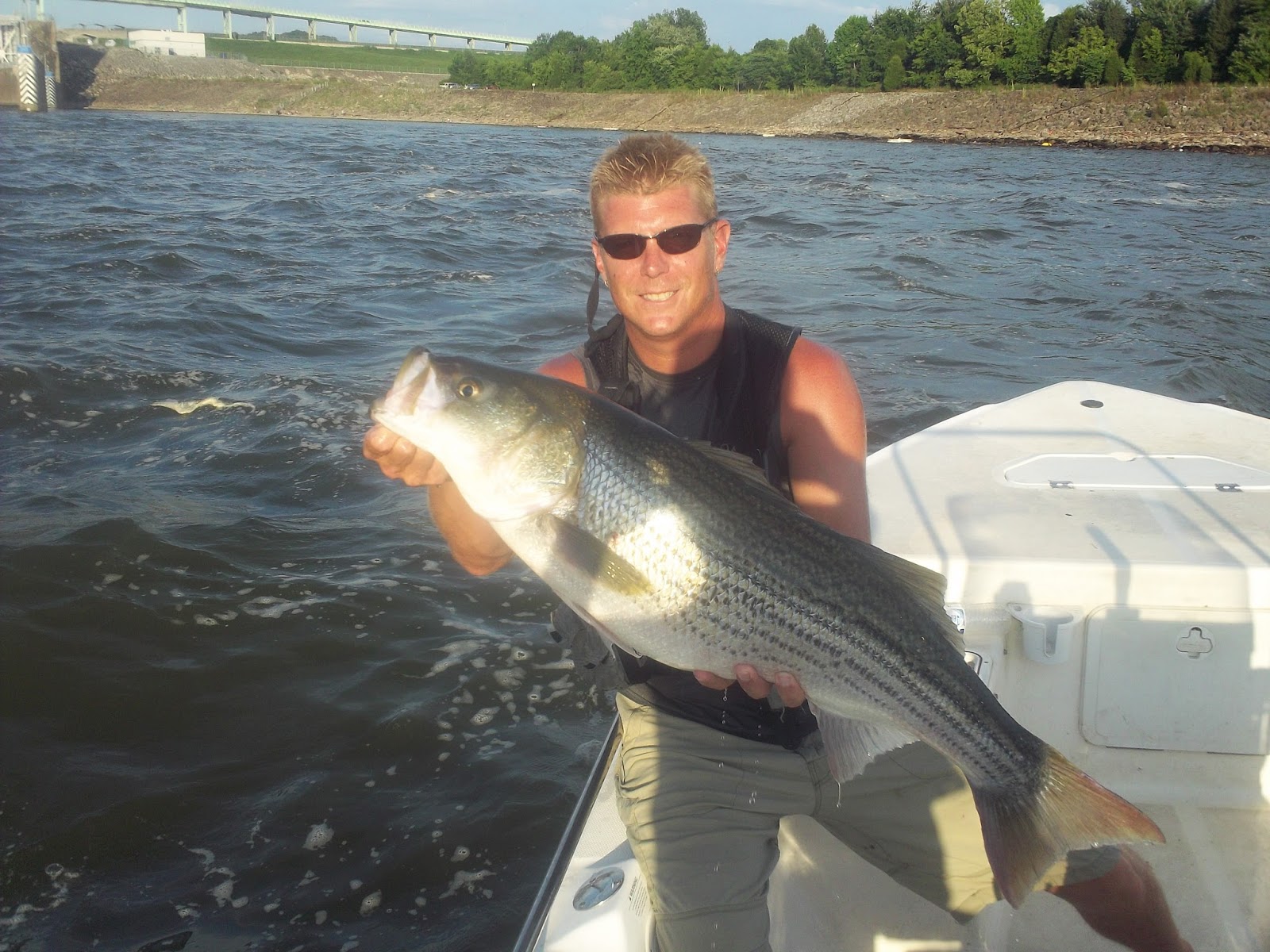 Fish On! Guided Tours. Knoxville, Tn Knoxville Tennessee's Premier