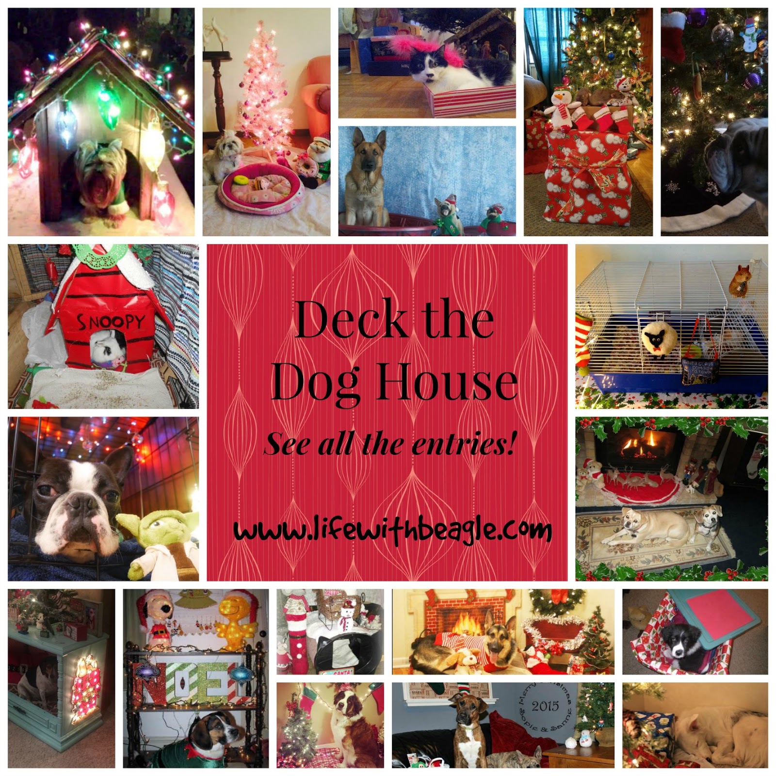 Life With Beagle Deck the Dog House 2015 See all the entries