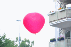 Ein fliegendes Herz... Ein fliegendes Herz...