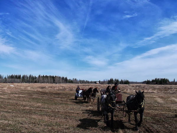 BIG SKY ALBERTA