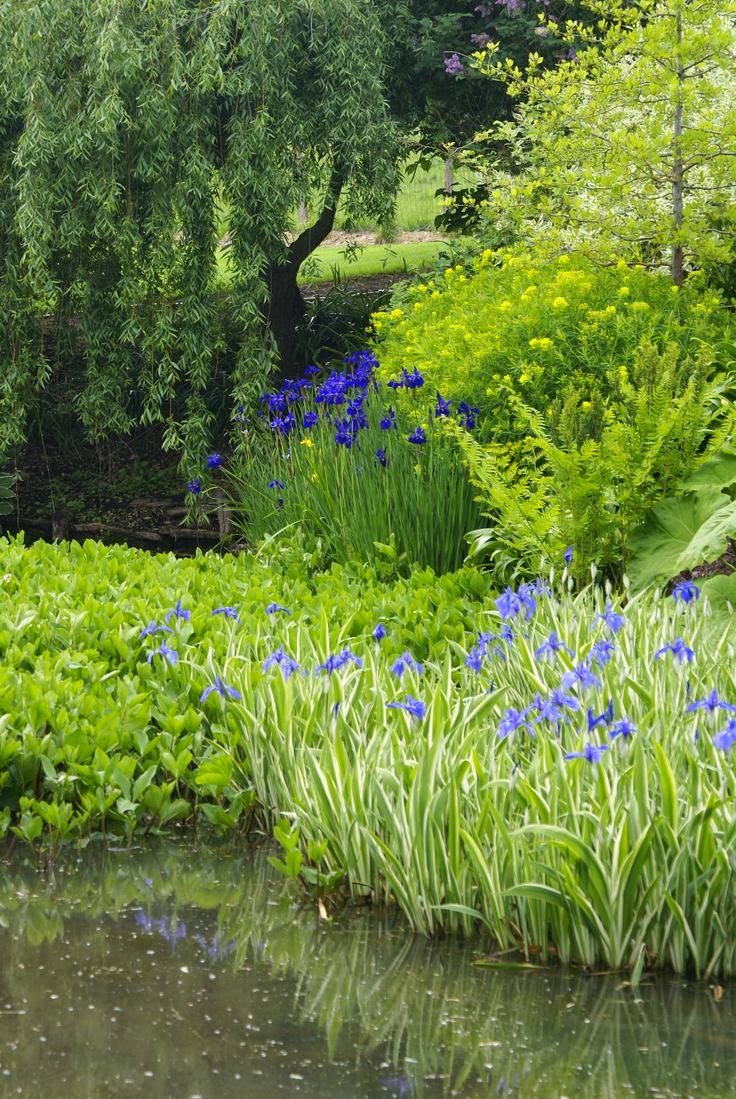 According to BRASWELL: Fabulous Gardens