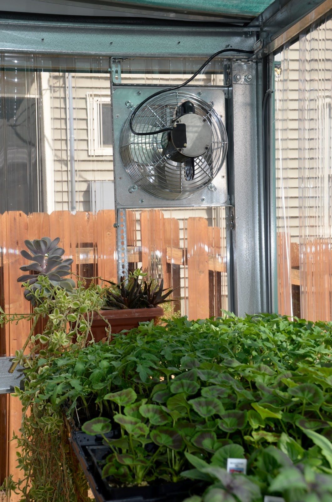 Natural Gardener My New Mueller