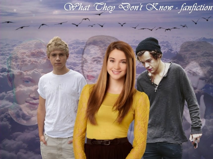 What They Don't Know - One Direction Fanfiction