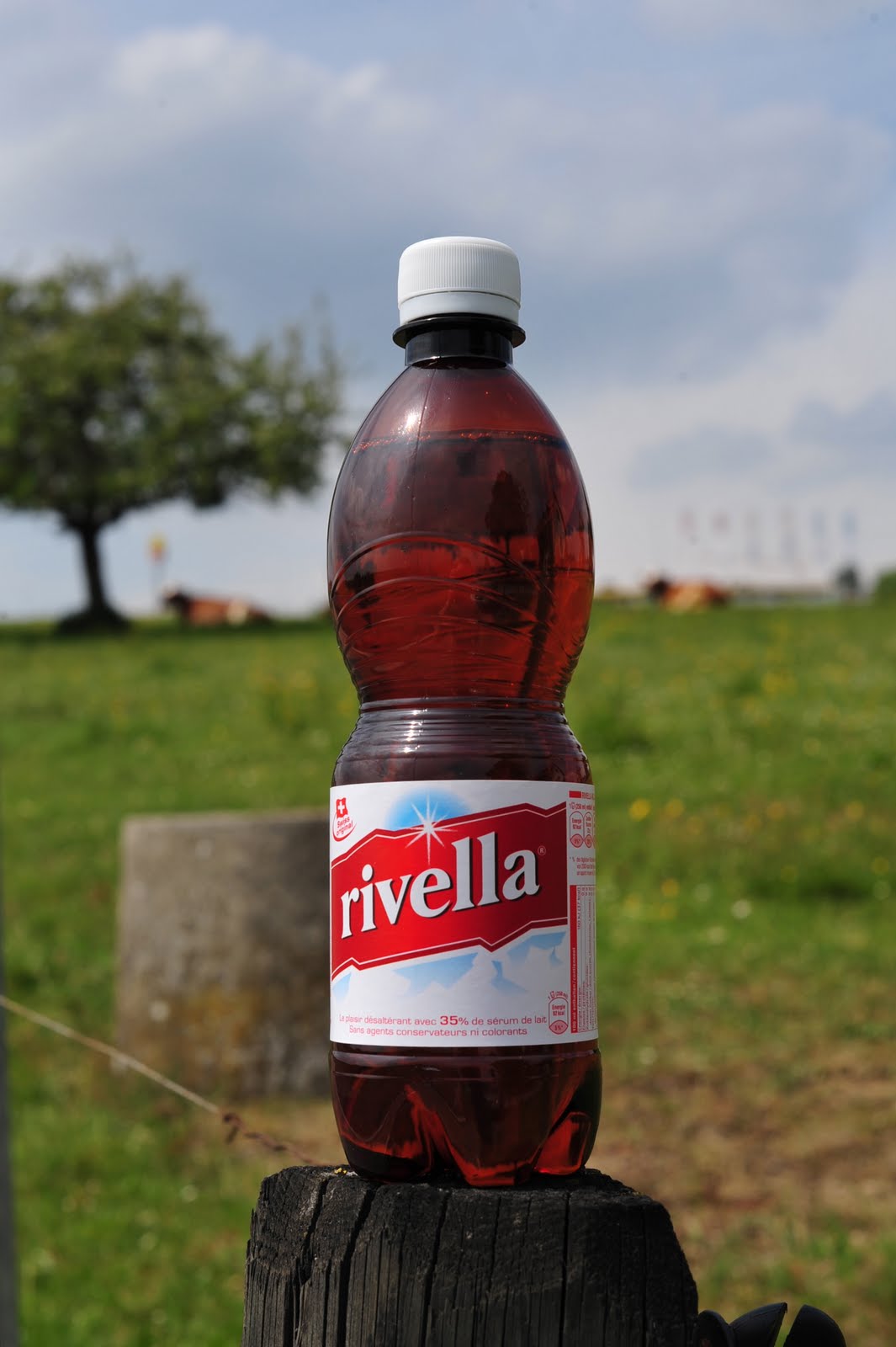 Merlin and Rebecca Rivella