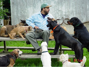 Mark McCabe, Canine Behaviorist