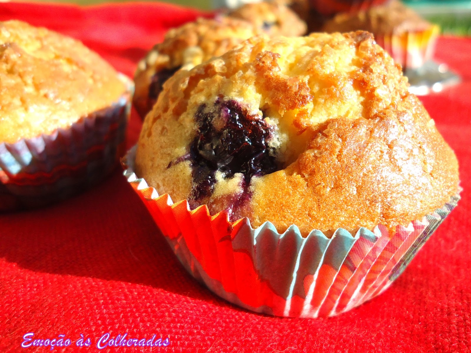 Emoção às Colheradas Muffins de Mirtilos e Banana