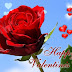 Valentines Day Roses Wallpapers, Greetings Cards For Free Download