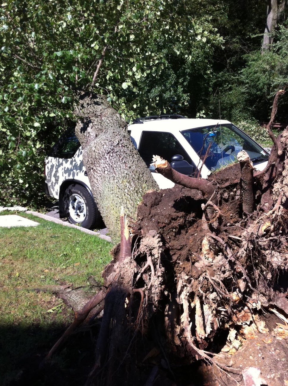 Stephen's site : August 2011