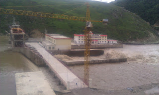 Размещенное изображение